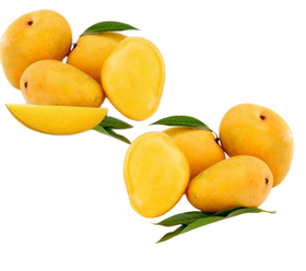 Alphonso and Banginapally (or Badami) Combo (Available for dispatch on 07-May-2024 and Pickup on 06-May-2024)