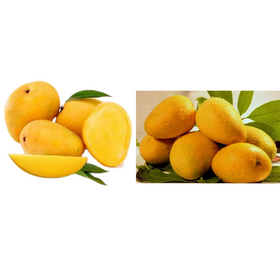 Banginapally + Imam Pasand Mangoes Combo (Available)