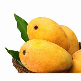 Big size Banginapalli (Badami) Mangoes