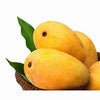 Big size Banginapalli (Badami) Mangoes (Available)