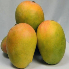 Cheraku Rasalu (deliveries from 19th May 2025)