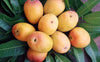 Imam Pasand / Himayat / Himam Pasand Mangoes (deliveries from 19th May 2025)