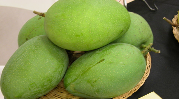 Imam Pasand / Himayat / Himam Pasand Mangoes (deliveries from 19th May 2025)