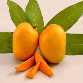 Kesar Mangoes 3 kg - (taking pre-orders; next availability 25th May 2024)