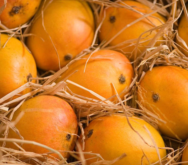 Alphonso Mangoes (deliveries from 12th May 2025)